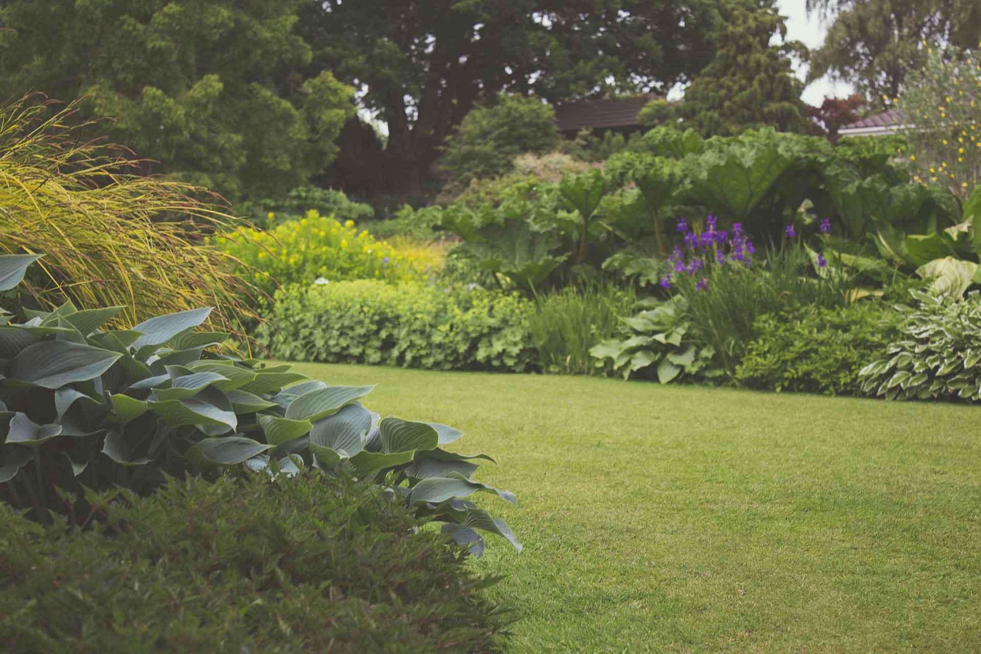 A beautiful oxford garden, showing an example of Lynch Brothers Homes' landscaping services in oxford